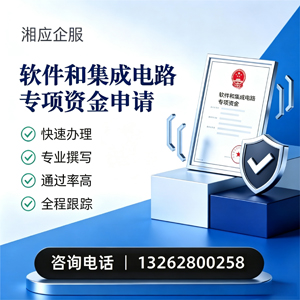 郴州软件和集成电路专项资金申报服务