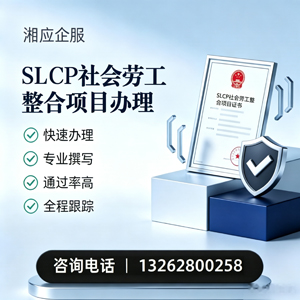 郴州SLCP社会劳工整合项目申报服务