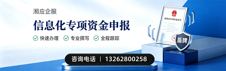 郴州信息化专项资金申报服务