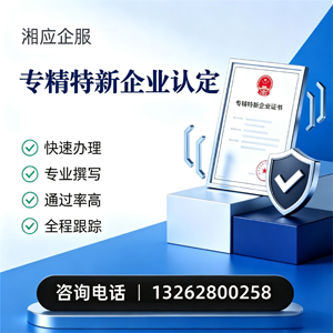 郴州专精特新企业申报服务