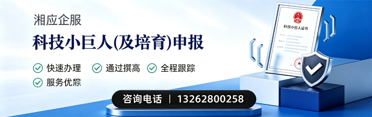 郴州科技小巨人及培育企业申报服务