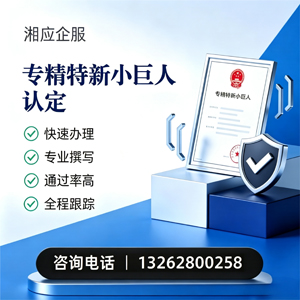 郴州专精特新小巨人申报服务