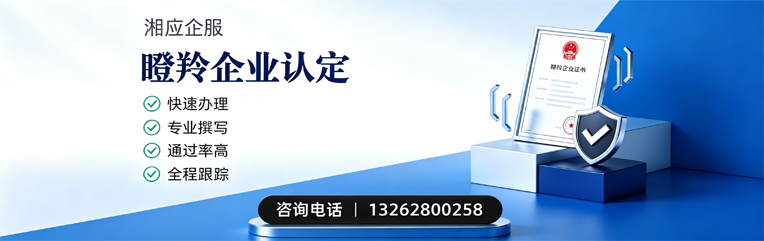郴州瞪羚企业认定申报服务