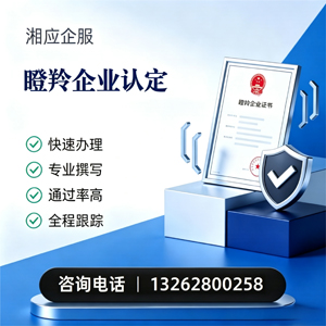 郴州瞪羚企业认定申报服务