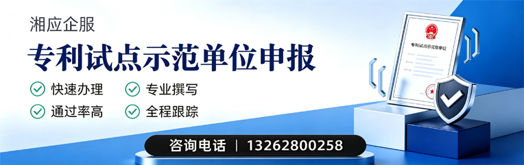 郴州专利试点示范单位申报服务