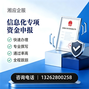 郴州信息化专项资金申报服务