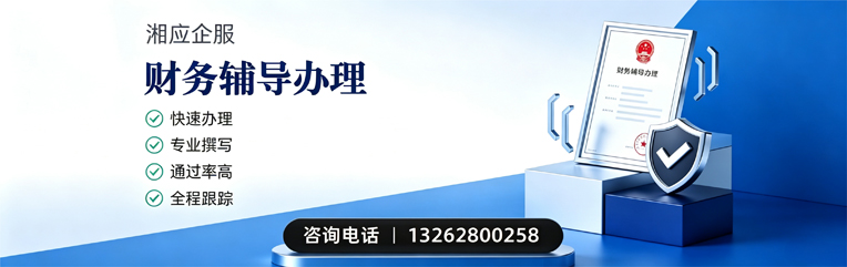 郴州财务辅导申请服务