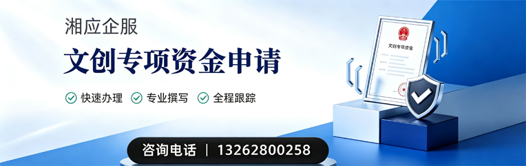 郴州文创专项资金申报服务