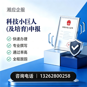 郴州科技小巨人及培育企业申报服务