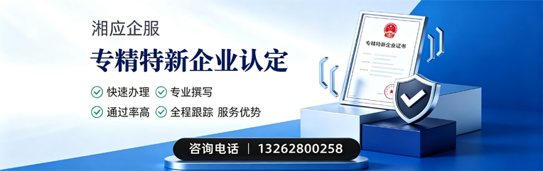 郴州专精特新企业申报服务