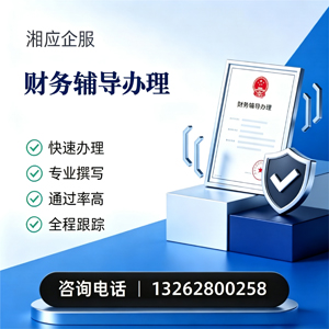 郴州财务辅导申请服务