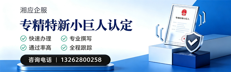 郴州专精特新小巨人申报服务